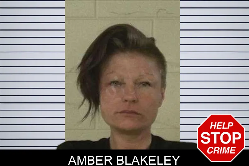 Amber Blakeley Mugshots