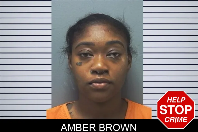 Amber Brown mugshot