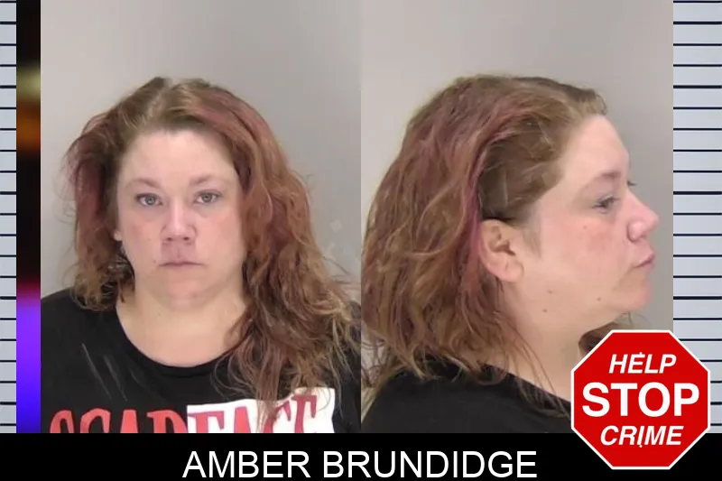 Amber Brundidge Mugshots