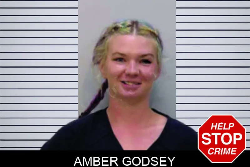 Amber Godsey Mugshots