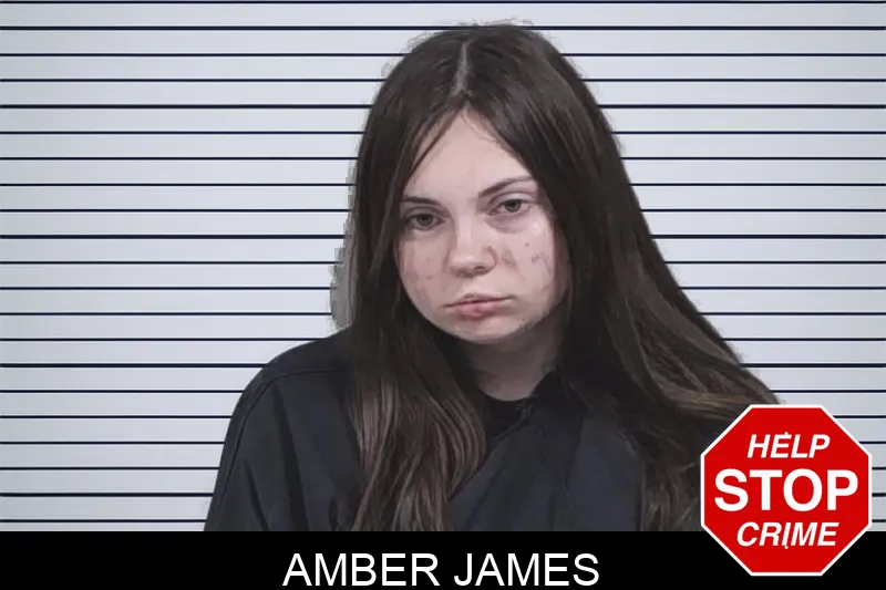 Amber James Mugshots