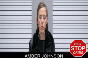 Amber Johnson mugshot