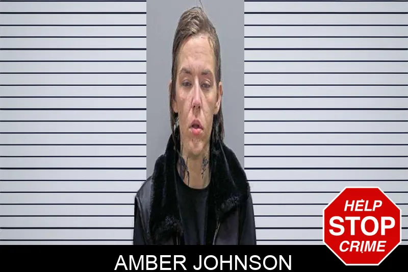 Amber Johnson Mugshots