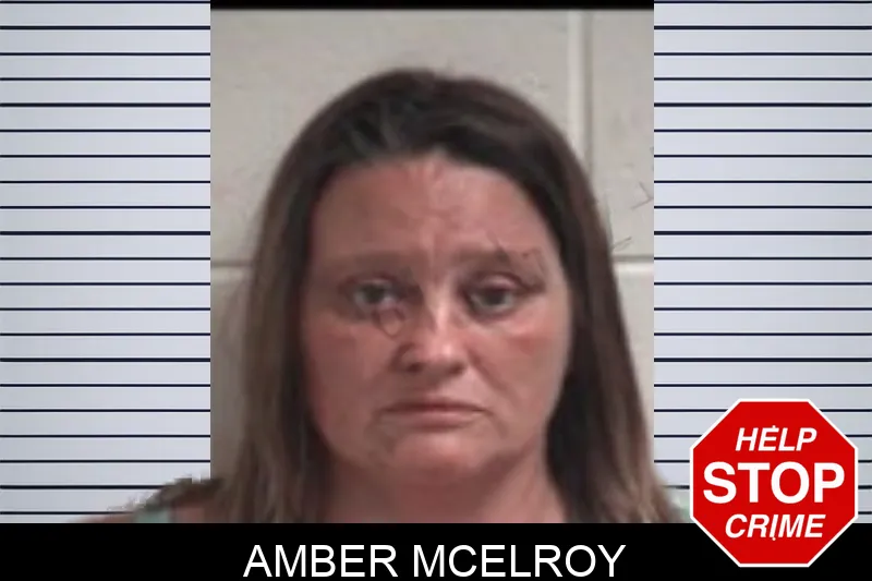 Amber McElroy Mugshots