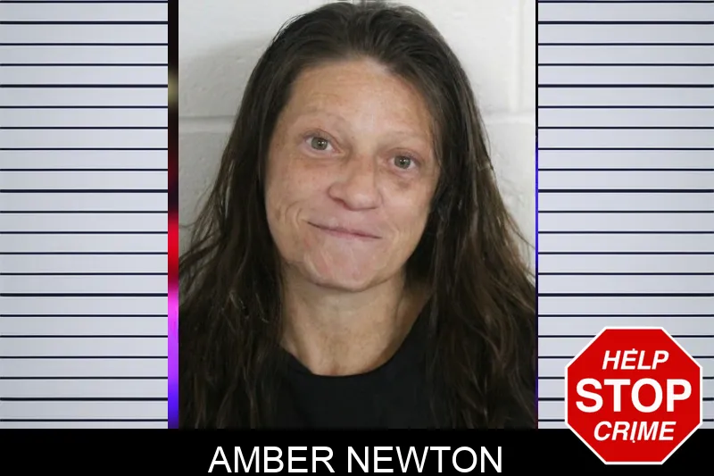 Amber Newton Mugshots