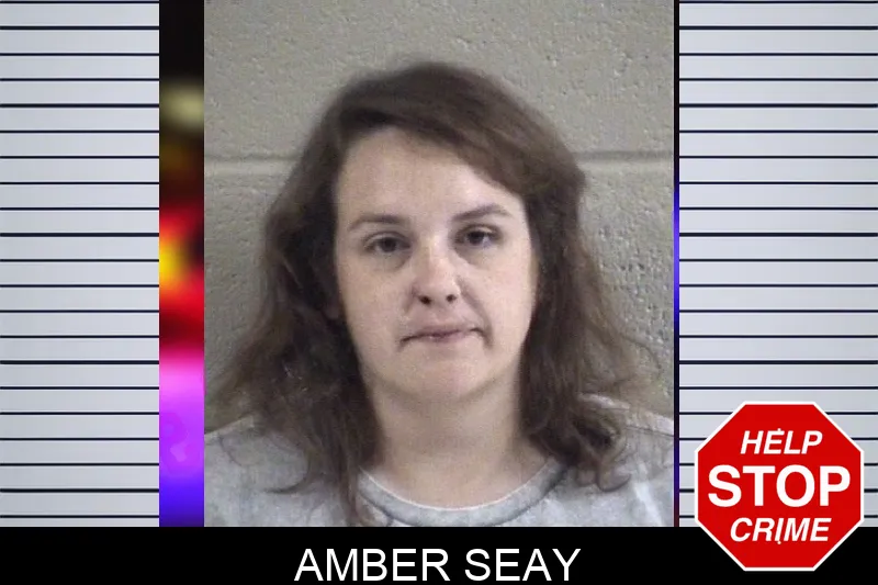 Amber Seay mugshot – Whitfield County , Georgia Amber Seay mugshot