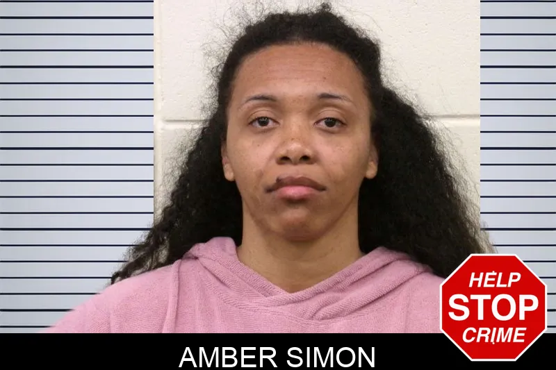 Amber Simon Mugshots