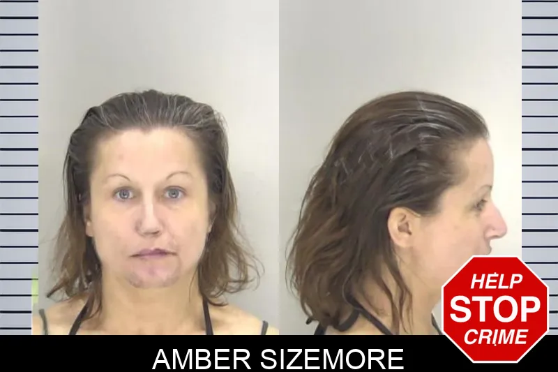 Amber Sizemore Mugshots
