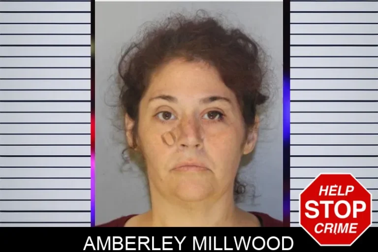 Amberley Millwood mugshot – Hall County , Georgia Amberley Millwood