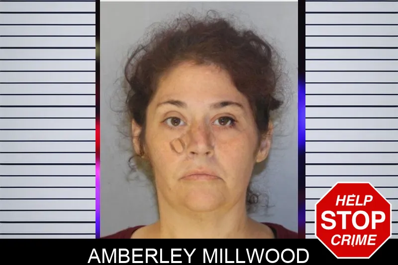 Amberley Millwood Mugshots