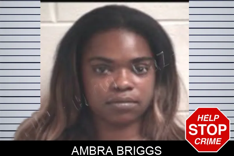 Ambra Briggs Mugshots