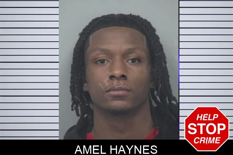 Amel Haynes Mugshots