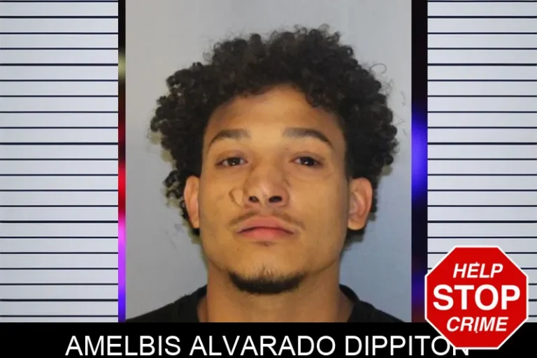 Amelbis Alvarado Dippiton