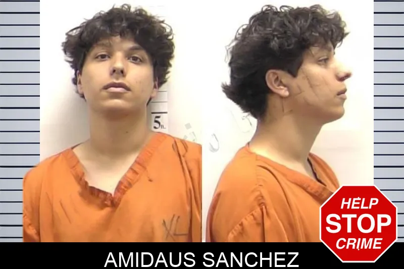 Amidaus Sanchez Mugshots