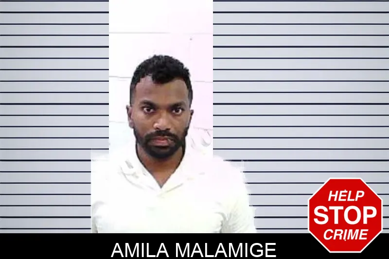 Amila Malamige Mugshots