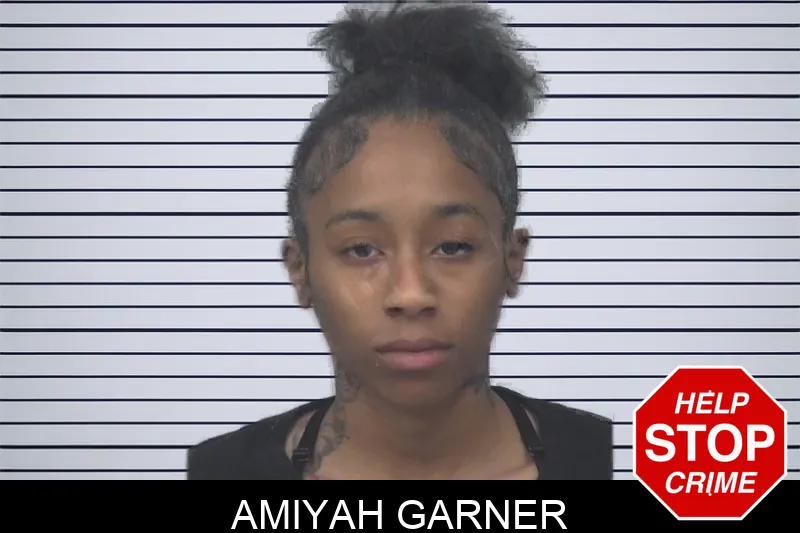 Amiyah Garner Mugshots