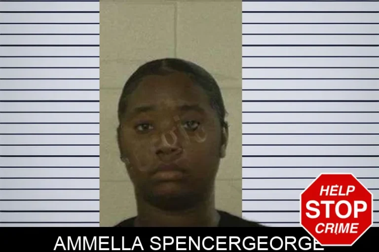 Ammella Spencergeorge mugshot – Liberty County , Georgia Ammella Spencergeorge