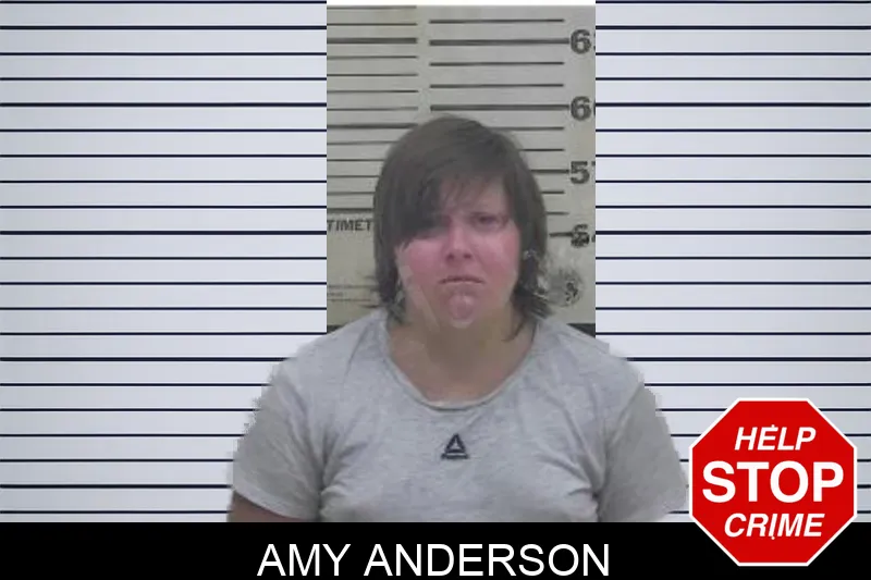 Amy Anderson Mugshots
