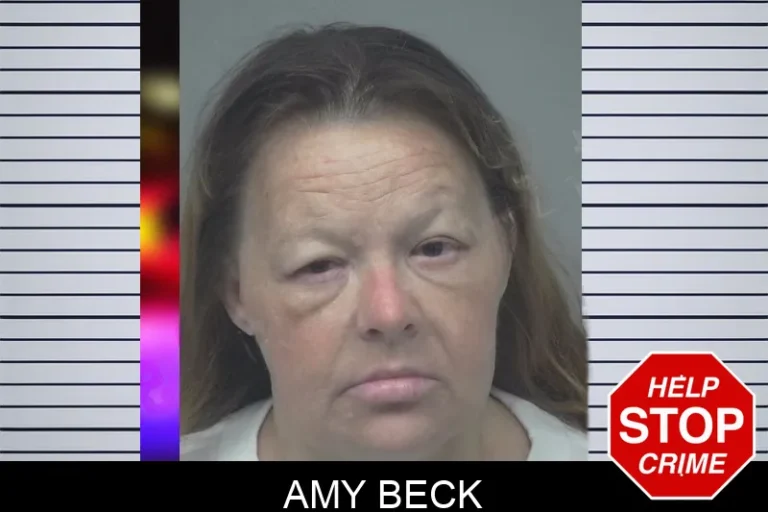 Amy Beck mugshot – Gwinnett County , Georgia Amy Beck