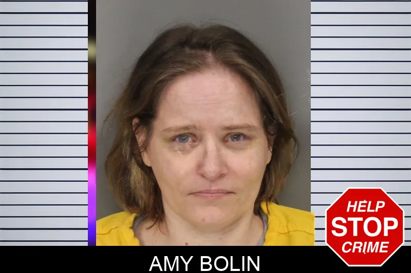 Amy Bolin mugshot – Cobb County , Georgia Amy Bolin mugshot