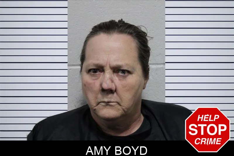 Amy Boyd Mugshots