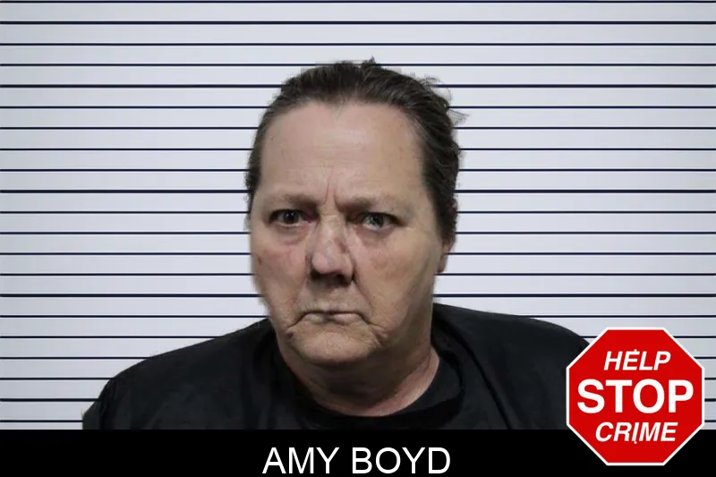 Amy Boyd Mugshots