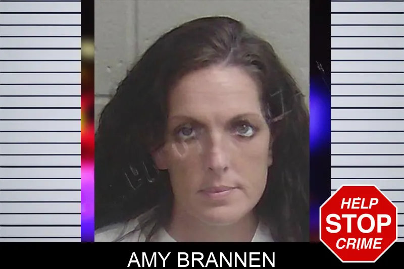 Amy Brannen Mugshots
