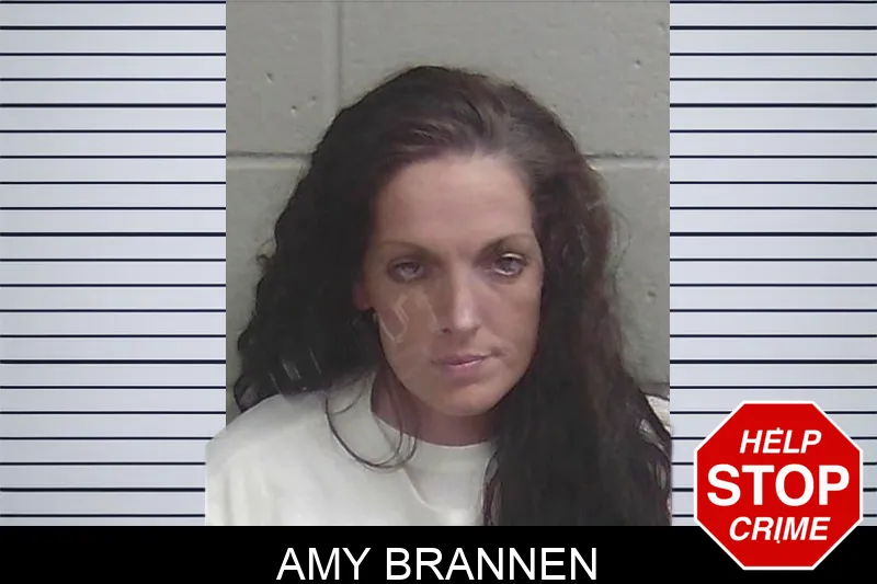 Amy Brannen Mugshots