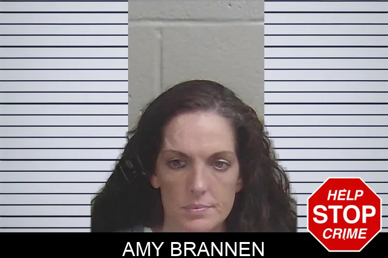 Amy Brannen Mugshots