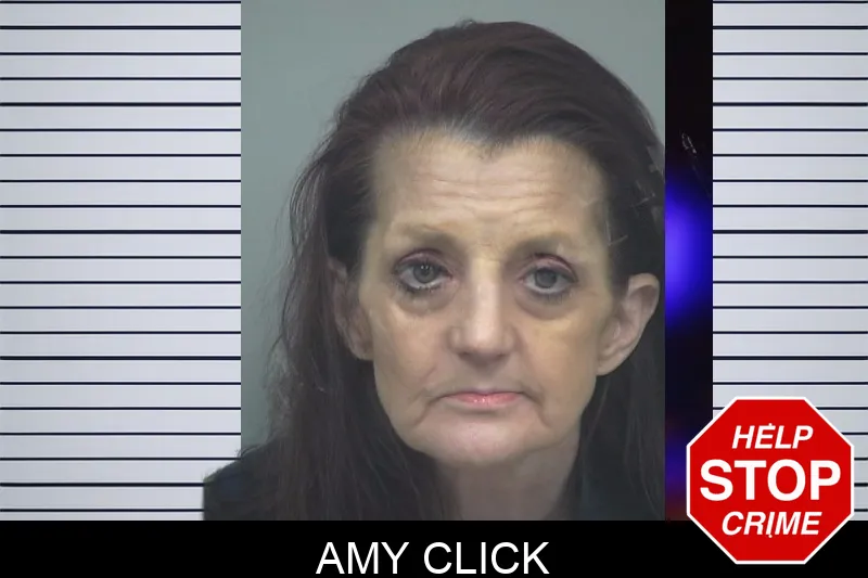 Amy Click mugshot