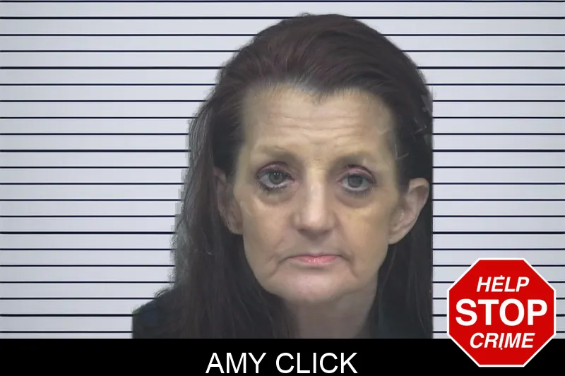 Amy Click Mugshots