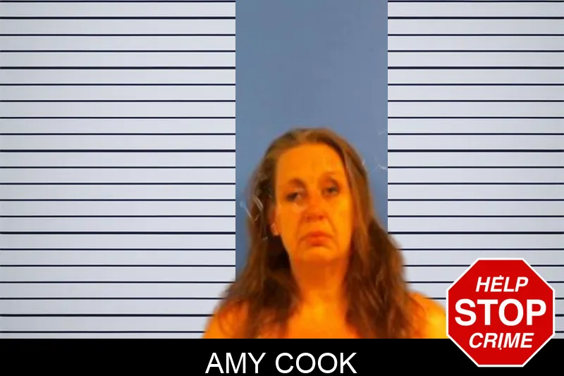 Amy Cook mugshot – Troup County , Georgia Amy Cook mugshot