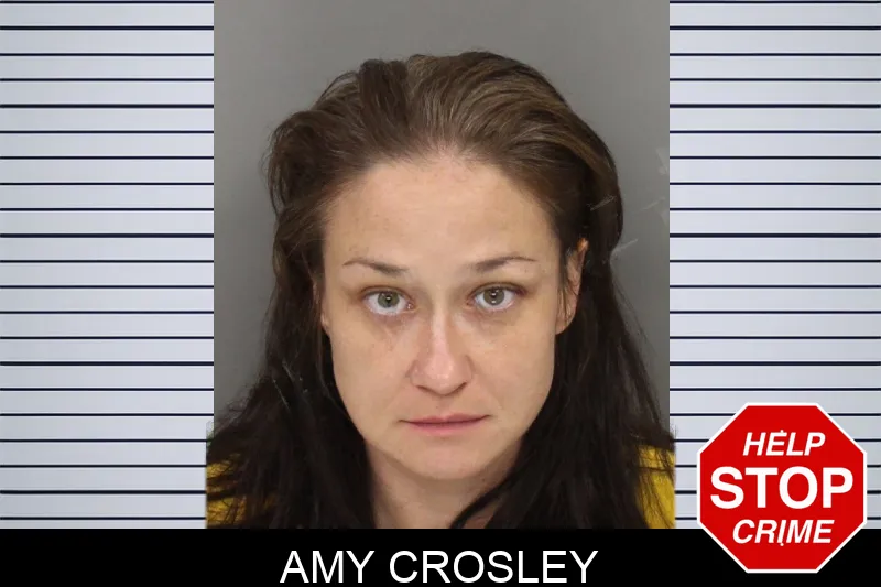 Amy Crosley mugshot – Cobb County , Georgia Amy Crosley mugshot