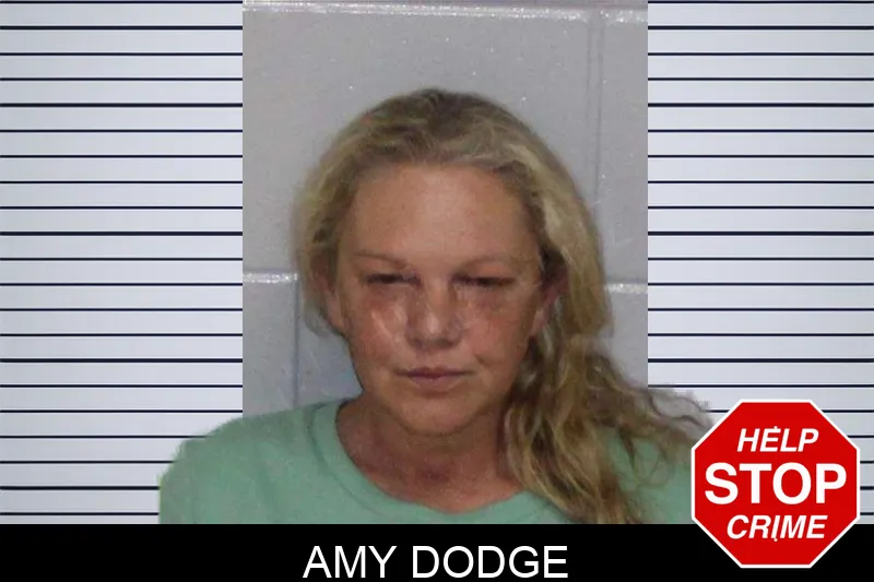 Amy Dodge Mugshots