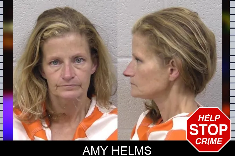 Amy Helms mugshot – Paulding County , Georgia Amy Helms mugshot