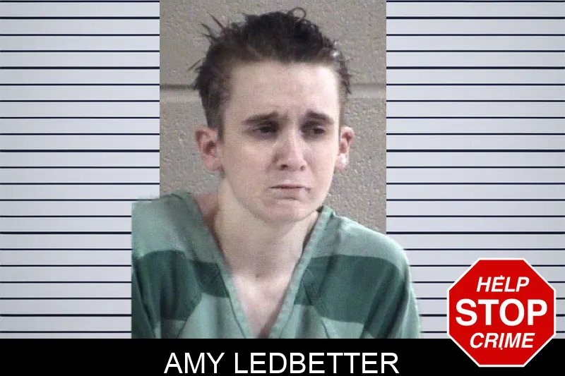 Amy Ledbetter Mugshots