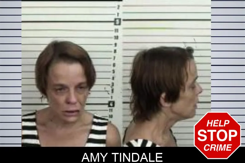 Amy Tindale Mugshots