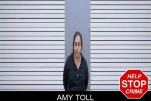 Amy Toll mugshot