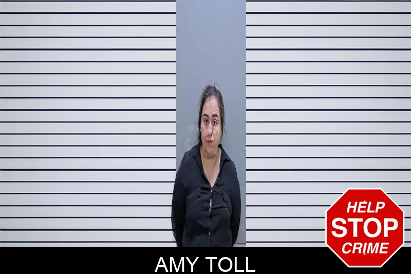 Amy Toll Mugshots