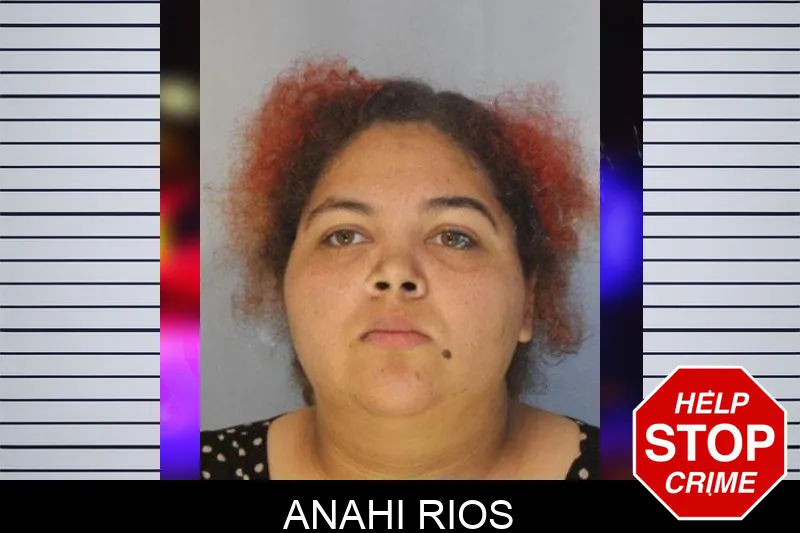 Anahi Rios Mugshots