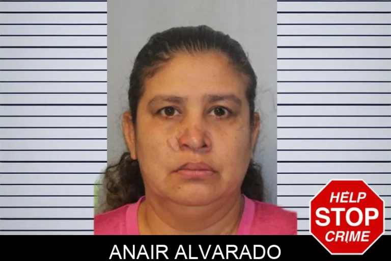 Anair Alvarado mugshot – Hall County , Georgia Anair Alvarado