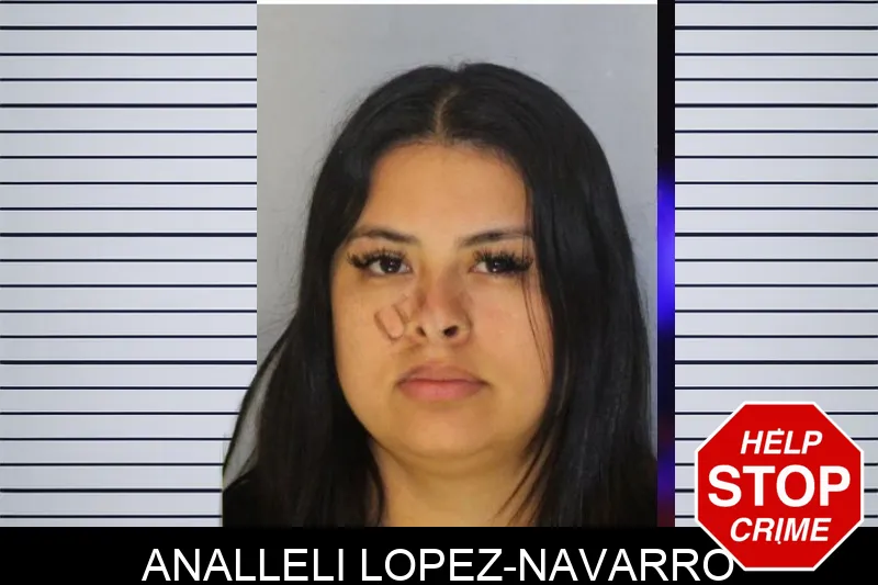 Analleli Lopez-Navarro Mugshots