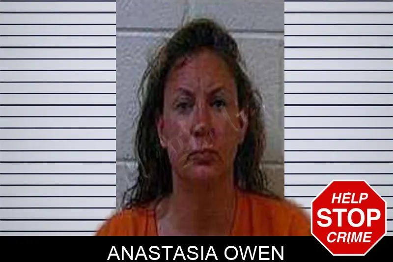 Anastasia Owen Mugshots