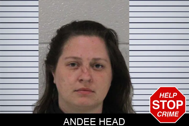 Andee Head Mugshots