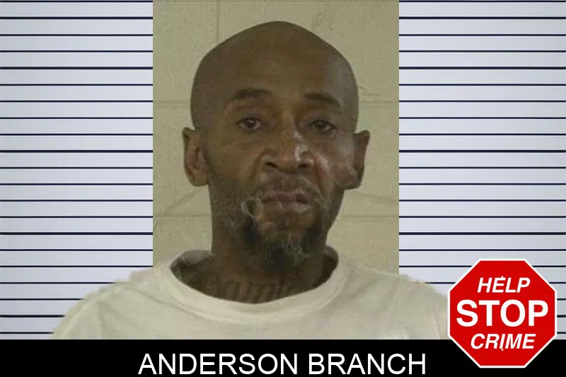 Anderson Branch Mugshots