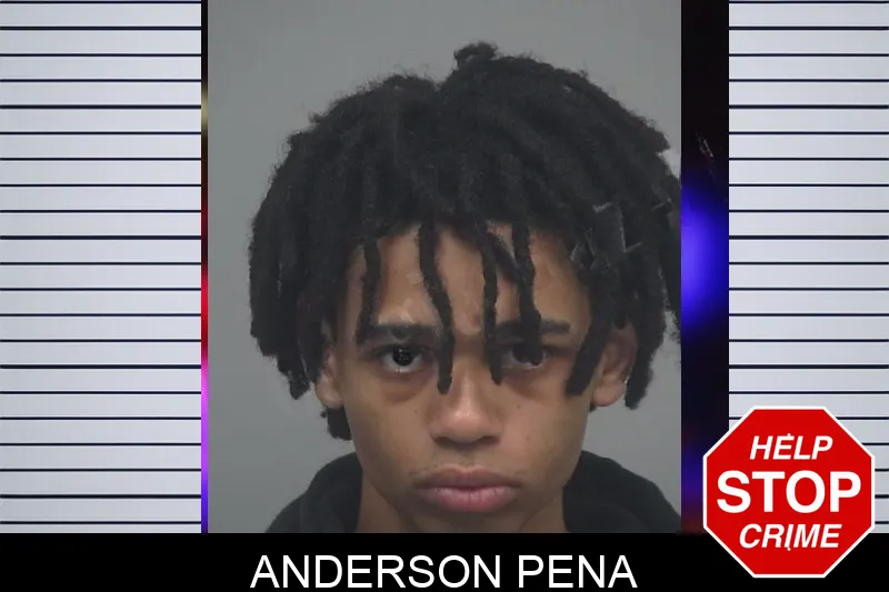 Anderson Pena Mugshots