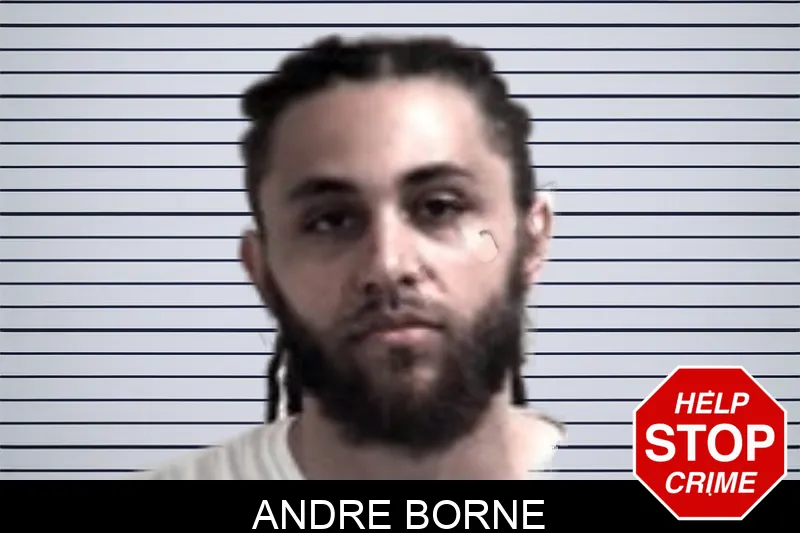 Andre Borne mugshot