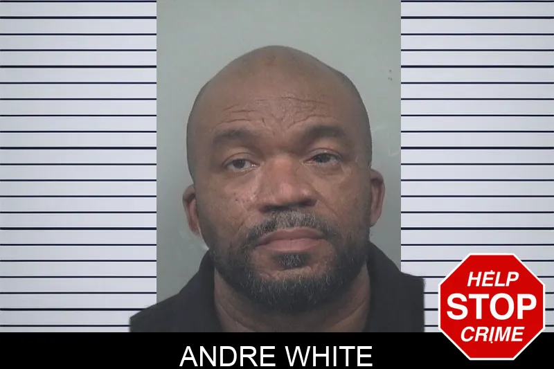Andre White Mugshots