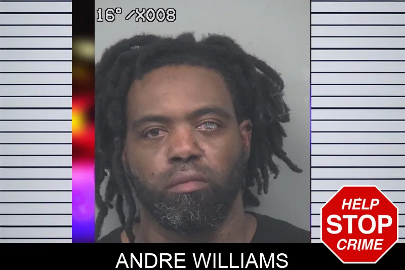 Andre Williams Mugshots