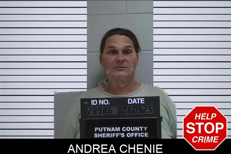 Andrea Chenie Mugshots